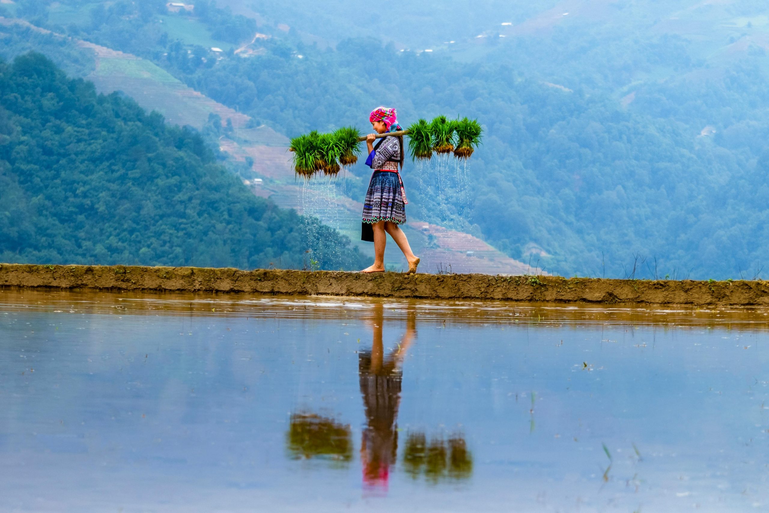 A local Hmong woman in traditional blue and black indigo attire, smiling and leading a small group of tourists on a trekking path through lush green rice paddies in Sapa, Vietnam.