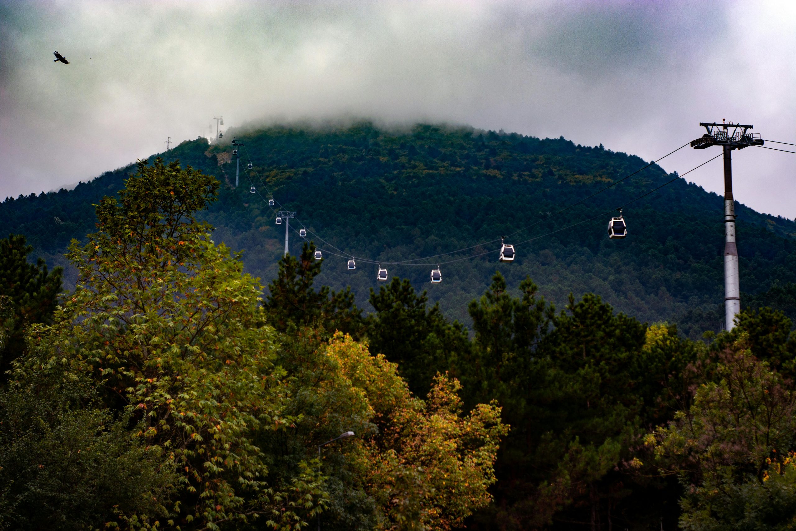 A modern cable car cabin ascending towards the summit of Fansipan Peak, with a sea of clouds visible below and lush green mountains in the distance