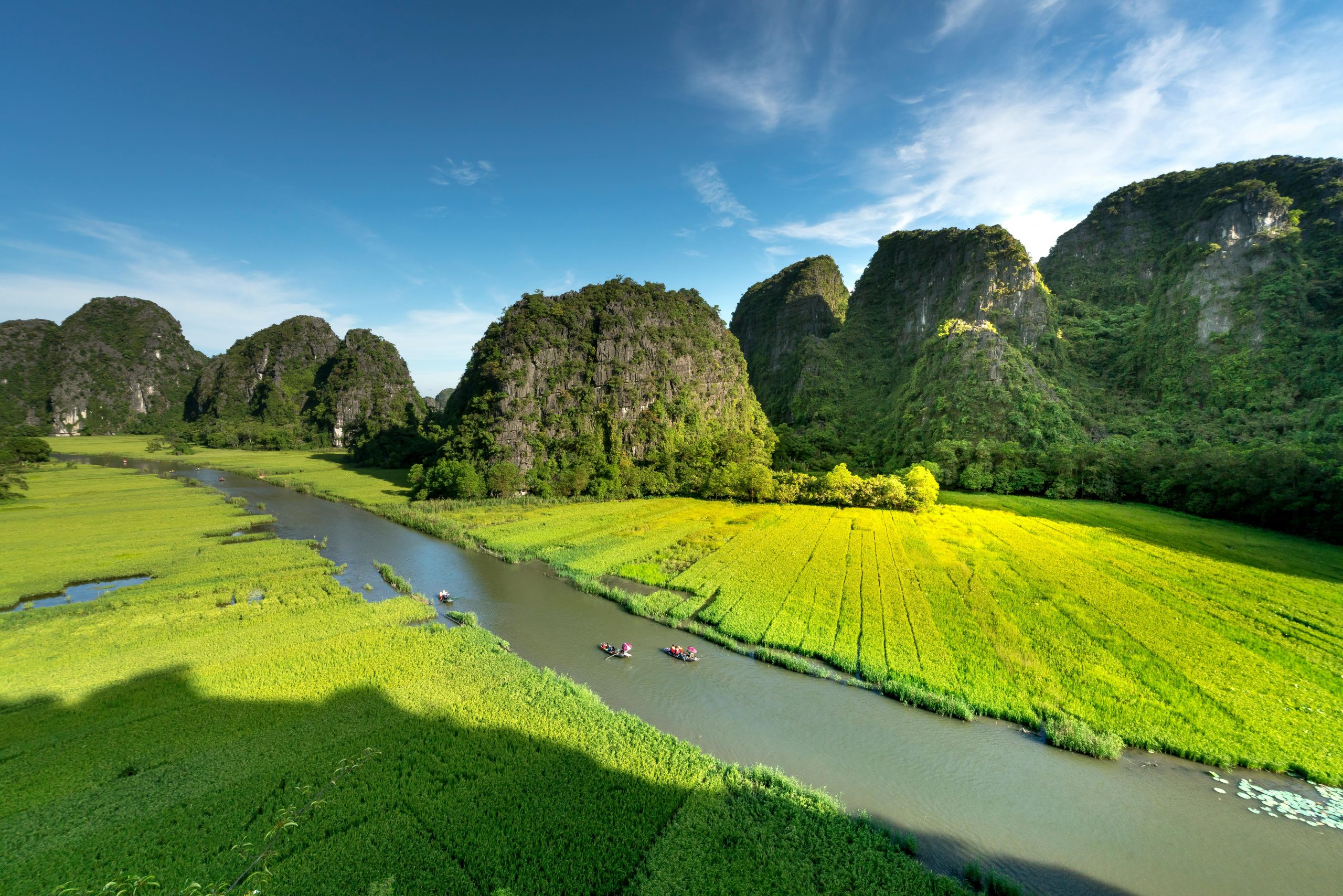 A person cycling on a narrow path through lush green rice fields in Tam Coc, with towering limestone karsts in the distance and a clear sky, depicting the serene rural landscape.