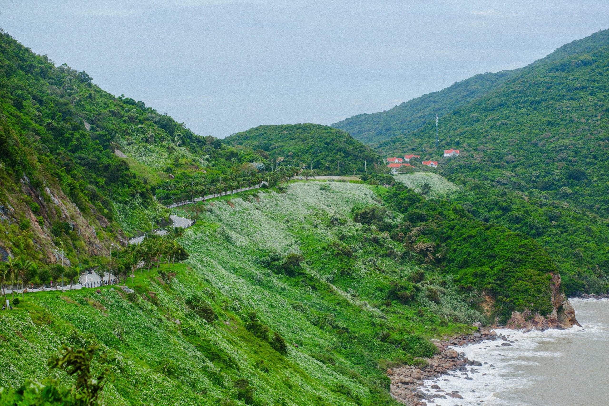 A scenic coastal road winding through lush green mountains on Son Tra Peninsula, with the sparkling turquoise sea and distant Da Nang skyline visible under a bright sunny sky