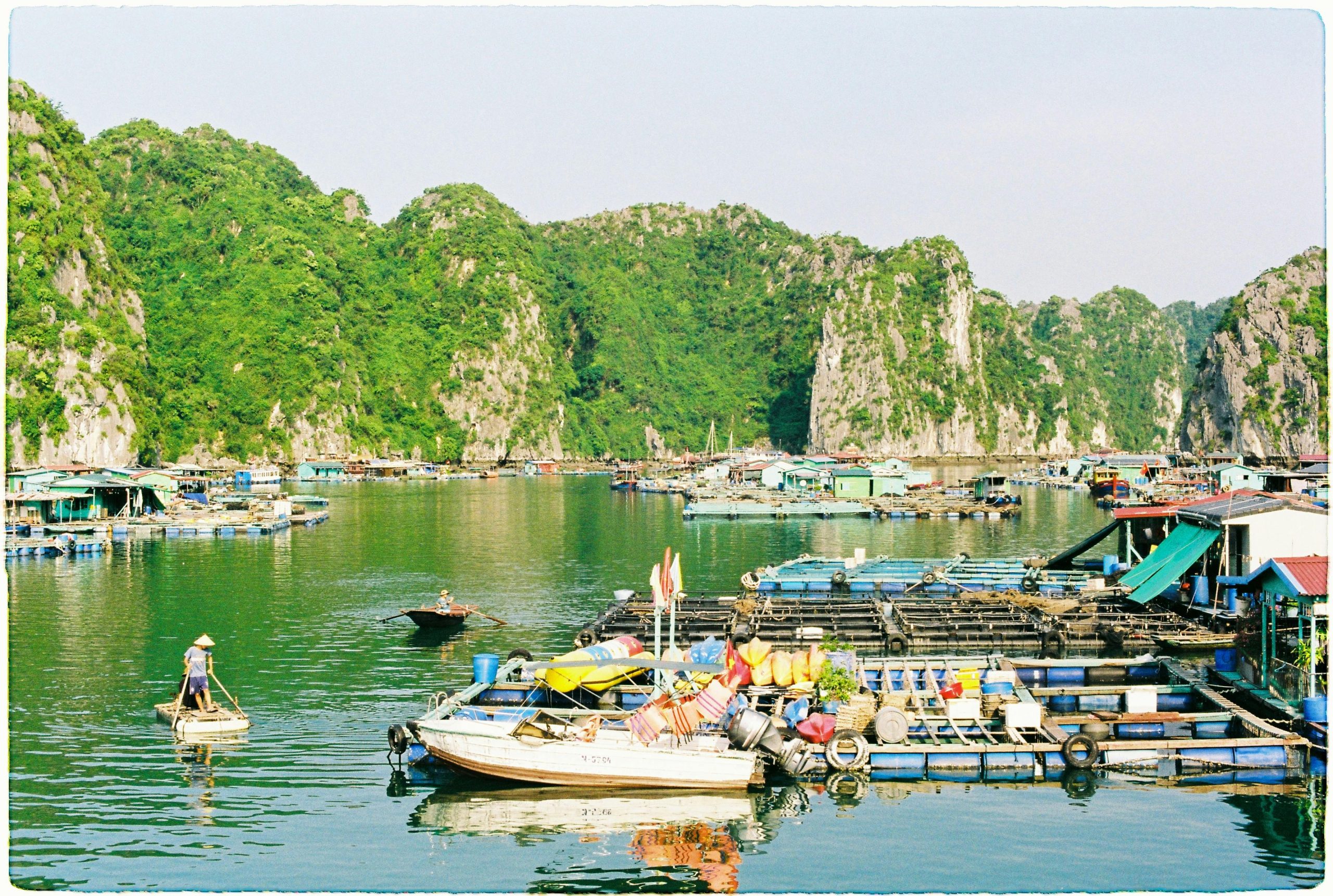 A traditional Vietnamese speed ferry arriving at Cat Ba Island pier, with lush green mountains and colorful houses lining the waterfront under a bright sky