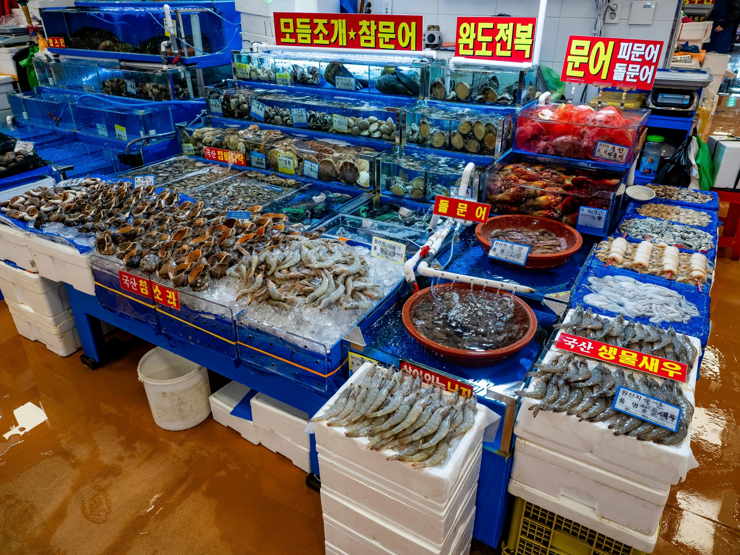 A vibrant display of fresh seafood, including live crabs, lobsters, various fish, and shellfish, laid out on ice at a bustling seafood market stall or restaurant near My Khe Beach. The colors are bright and the produce looks incredibly fresh, ready for grilling.