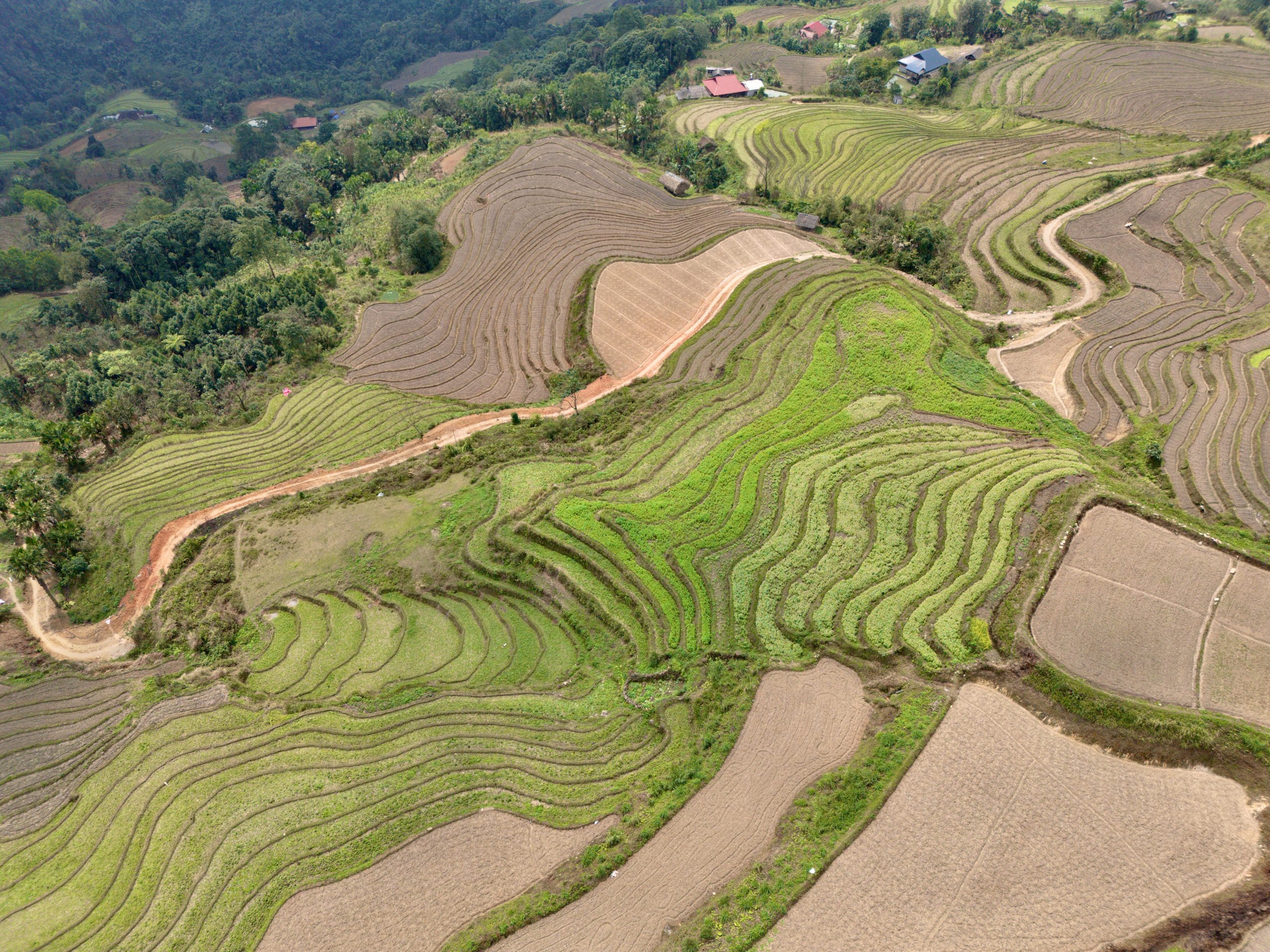 A wide-angle shot of the Ha Giang Loop road snaking through dramatic green mountain ranges and terraced rice paddies under a partly cloudy sky, with a small group of motorbikes in the distance