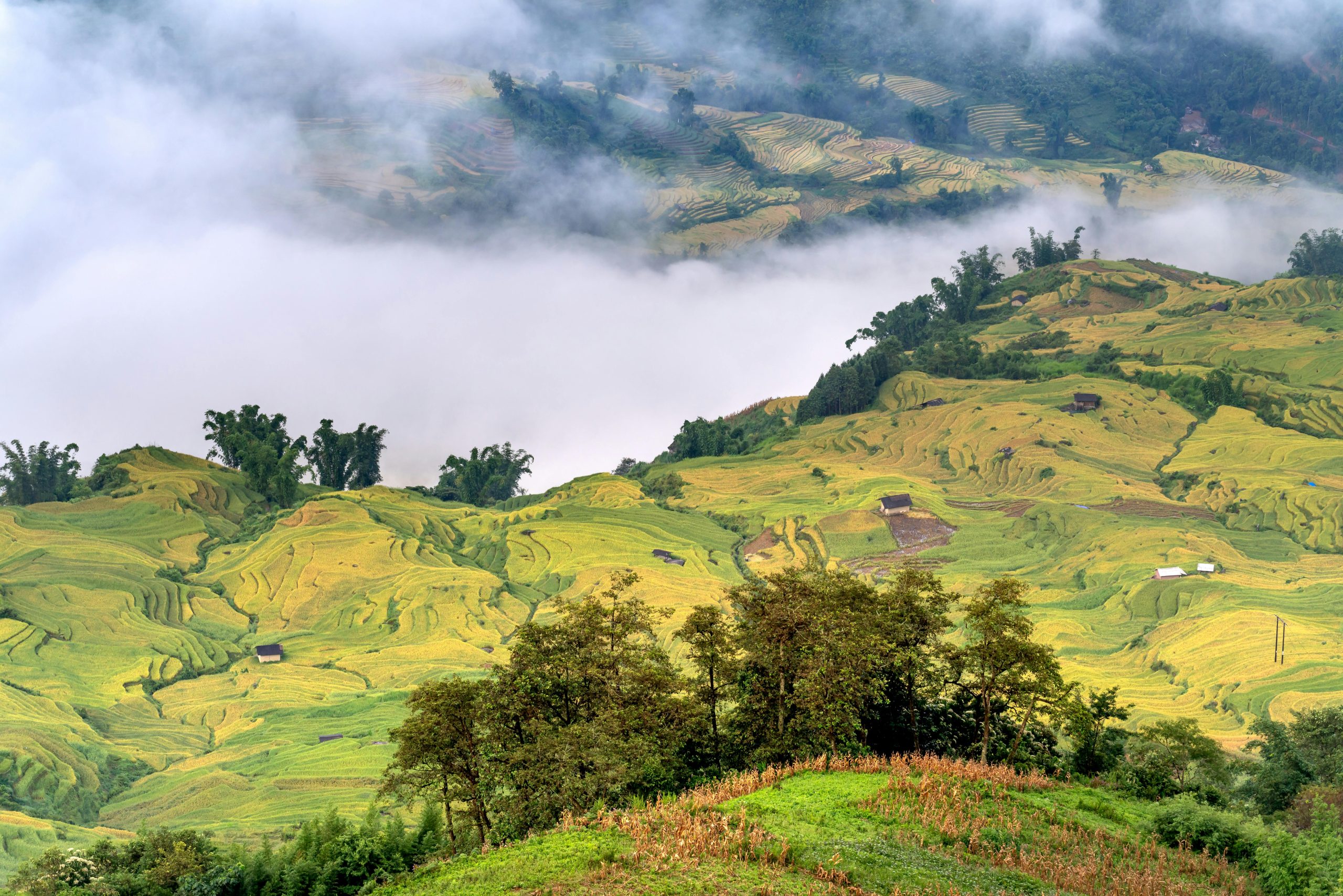 A wide panoramic shot of the Muong Hoa Valley with lush green rice terraces carved into mountainsides, traditional wooden houses scattered below, and the Muong Hoa River winding through the valley under a clear blue sky