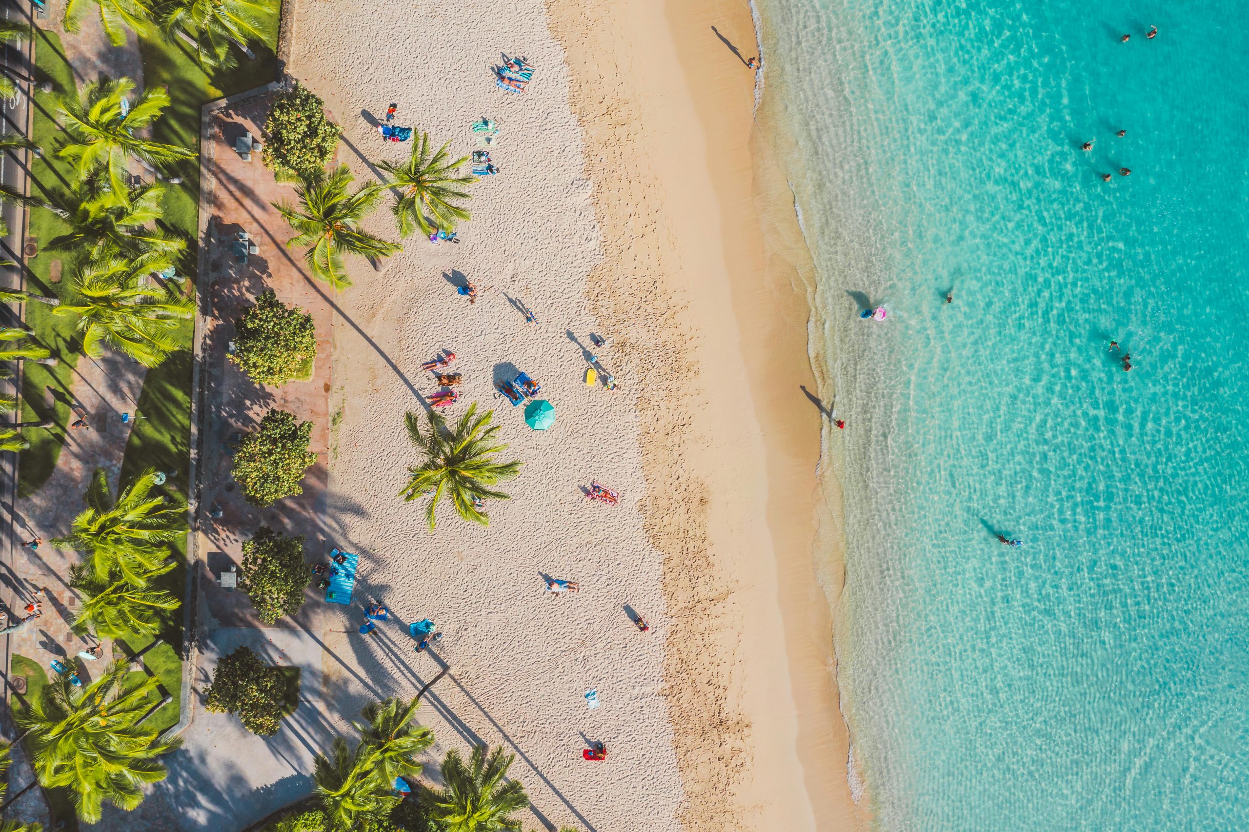 A wide shot of My Khe Beach in Da Nang with golden sand, clear turquoise water, a few people swimming, and lush green palm trees lining the shore with distant mountains under a blue sky