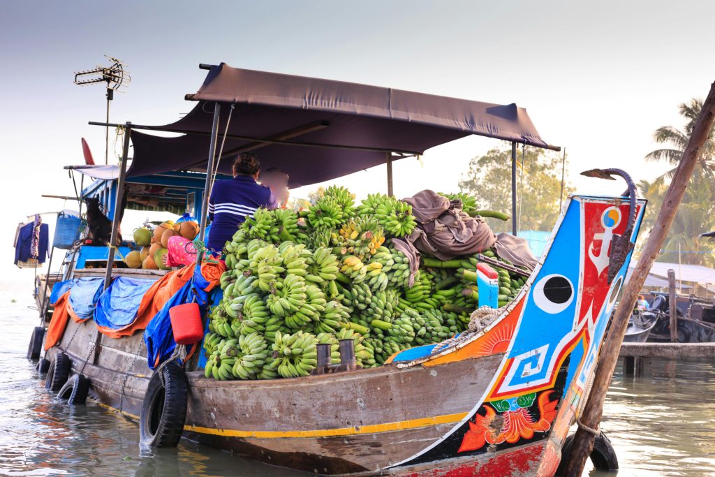 Mekong Delta
