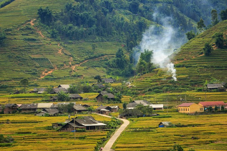 Sapa