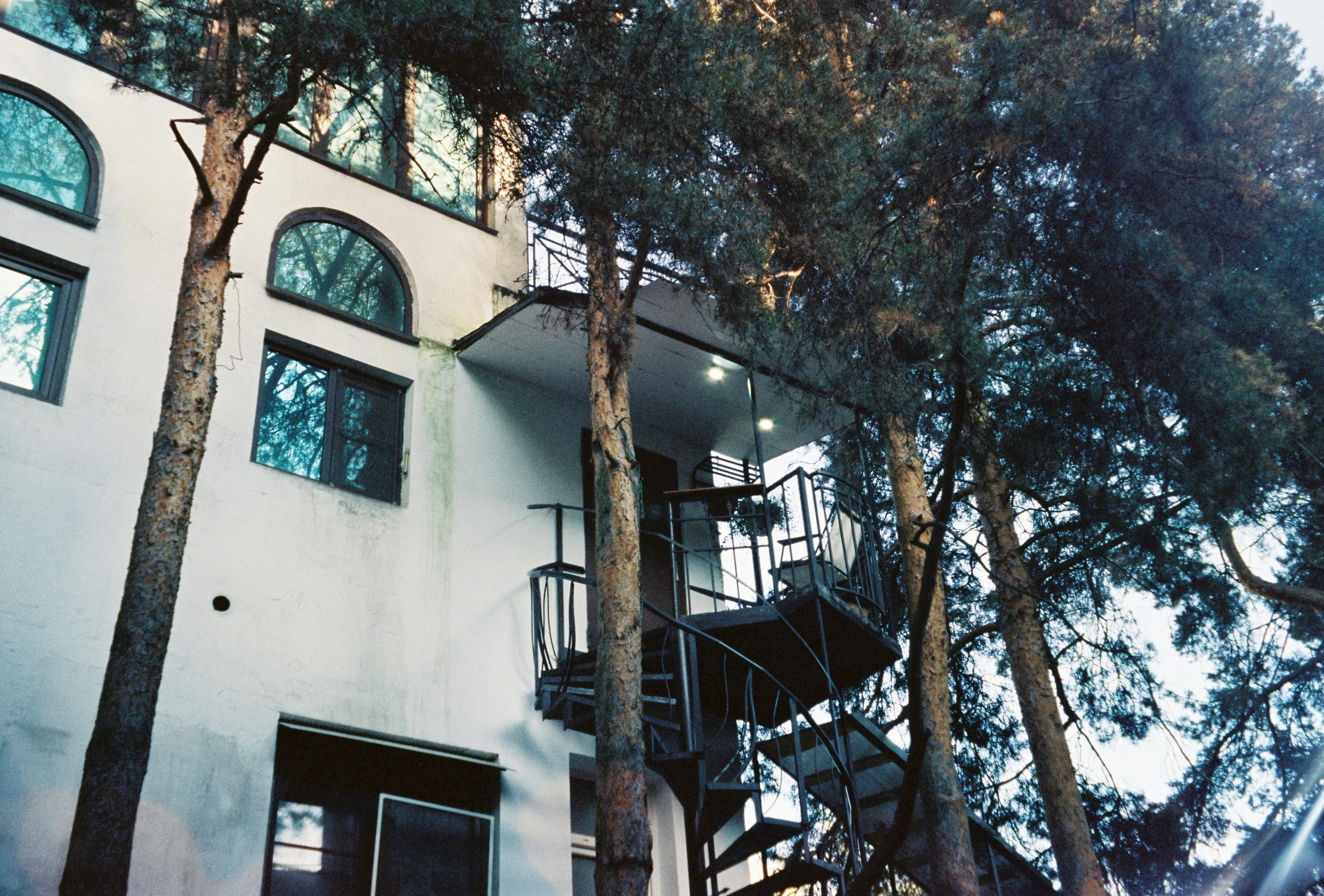 The exterior of Da Lat's Crazy House, a surreal and whimsical architectural masterpiece resembling a giant tree with organic shapes and winding staircases, surrounded by lush greenery under a clear sky.