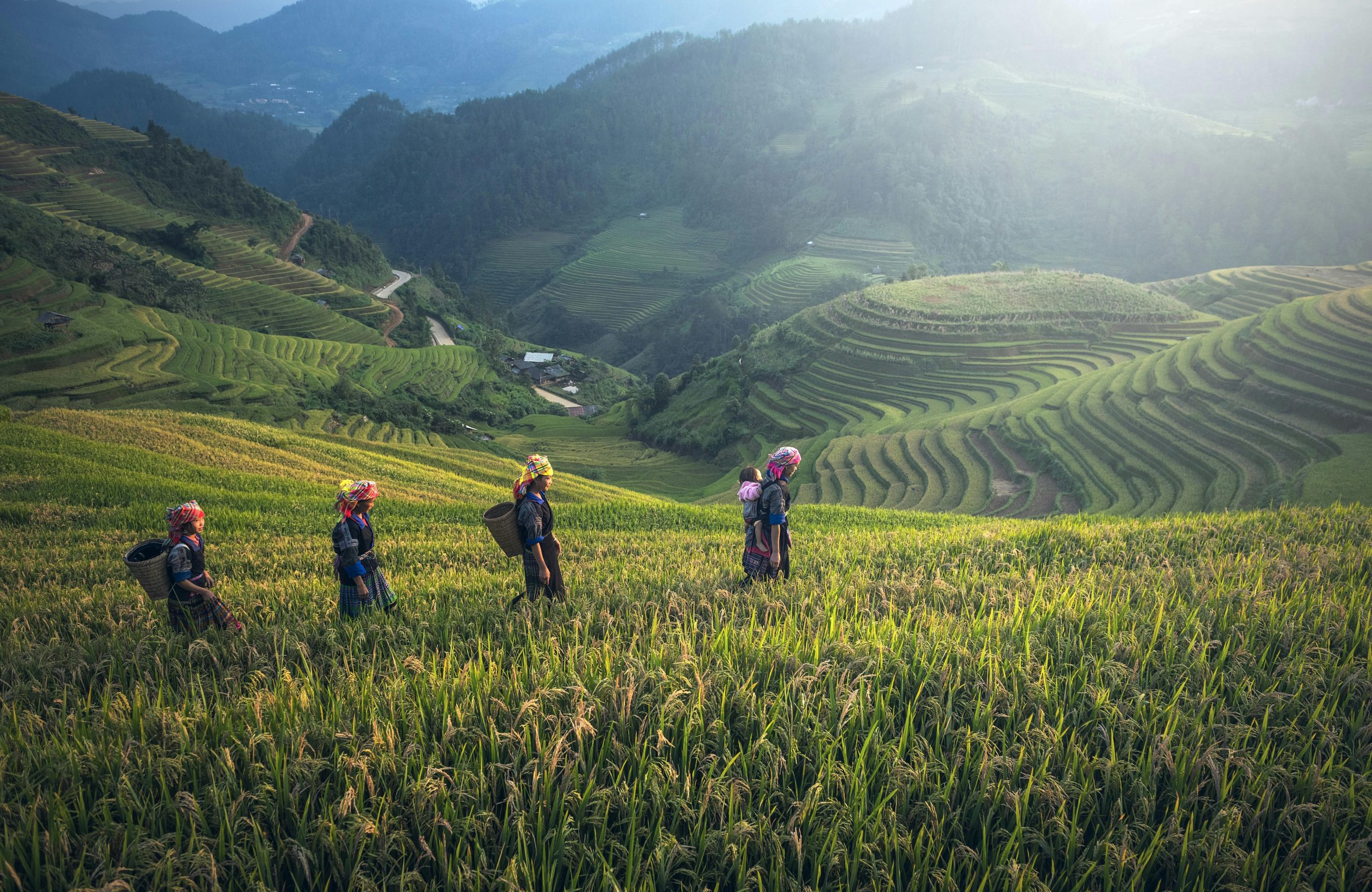 Vast terraced rice fields in Sapa, Vietnam, glowing green under the sun with Hmong women working in the fields in the distance.